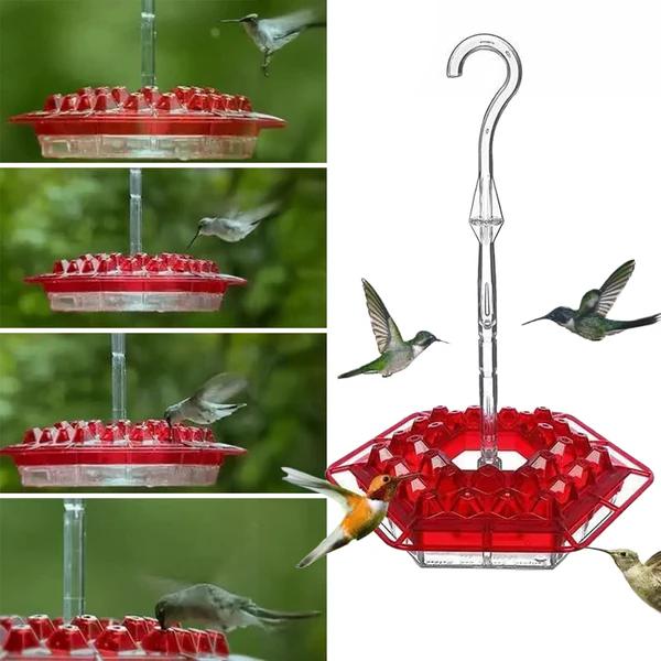 Ant-Proof Hummingbird Feeder with 30 Bee-Resistant Ports 0