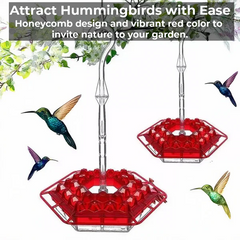 Ant-Proof Hummingbird Feeder with 30 Bee-Resistant Ports 1