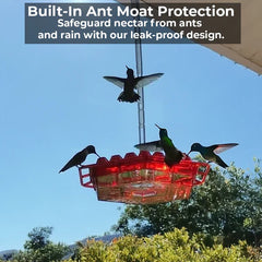 Ant-Proof Hummingbird Feeder with 30 Bee-Resistant Ports 3