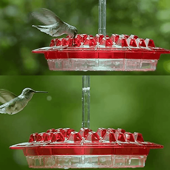 Ant Proof Hummingbird Feeder Outdoor Hanging Perch 5