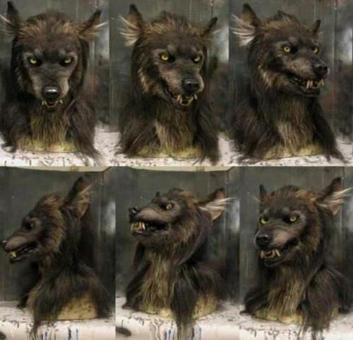 Scary Wolf Mask - Costume Mask for Halloween Masquerade Party 1