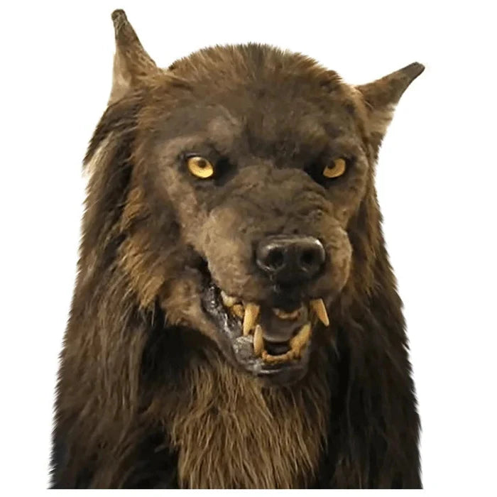 Scary Wolf Mask - Costume Mask for Halloween Masquerade Party 3