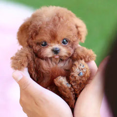 SnugglePup – Realistic Plush Puppy with Lifelike Details 0