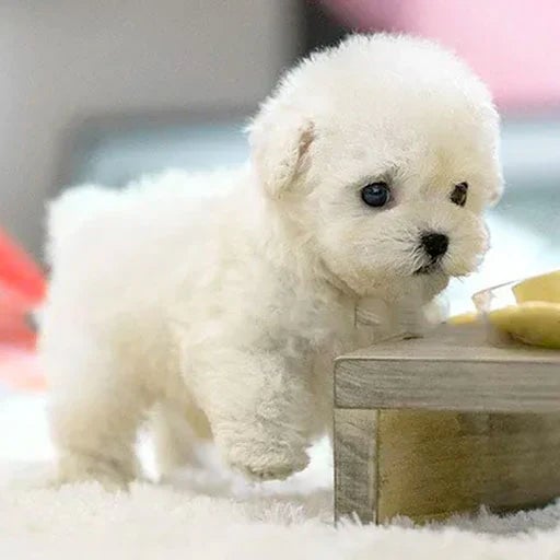SnugglePup – Realistic Plush Puppy with Lifelike Details 6