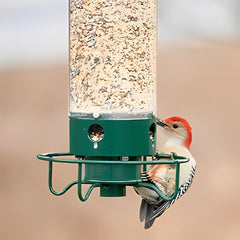 Squirrel-Proof Bird Feeder 2