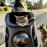 Travel Cat Backpack for Larger Cats 0