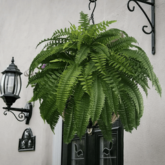 UV-Resistant Lifelike Artificial Boston Fern – Perfect for Outdoor Décor 1
