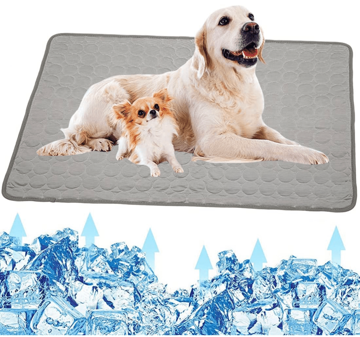 Kühlmatte für Hunde - Coolpet Matte