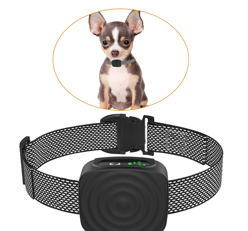 CalmPup | Anti-Bark Dog Collar for Small and Medium Breeds – Gentle Sound Training 2