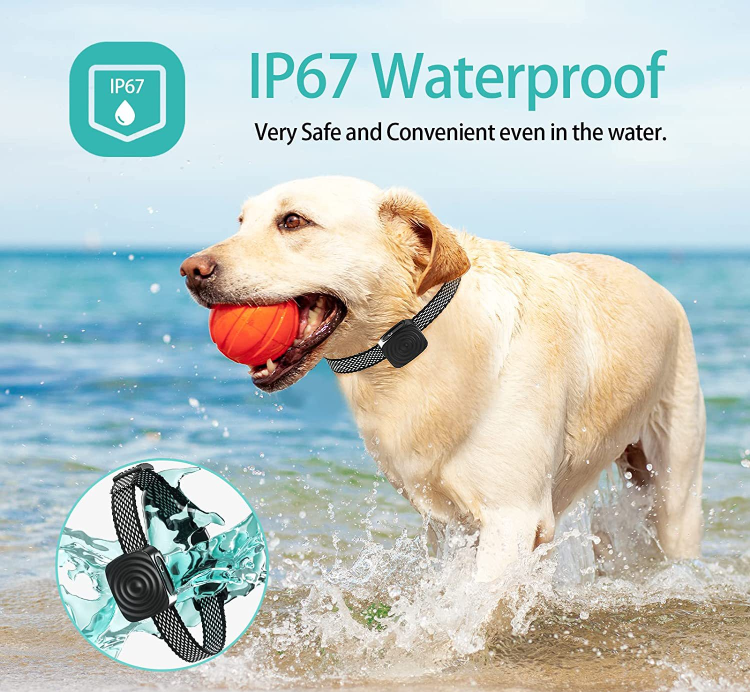 CalmPup | Anti-Bark Dog Collar for Small and Medium Breeds – Gentle Sound Training 3