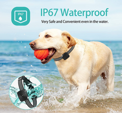 CalmPup | Anti-Bark Dog Collar for Small and Medium Breeds – Gentle Sound Training 3