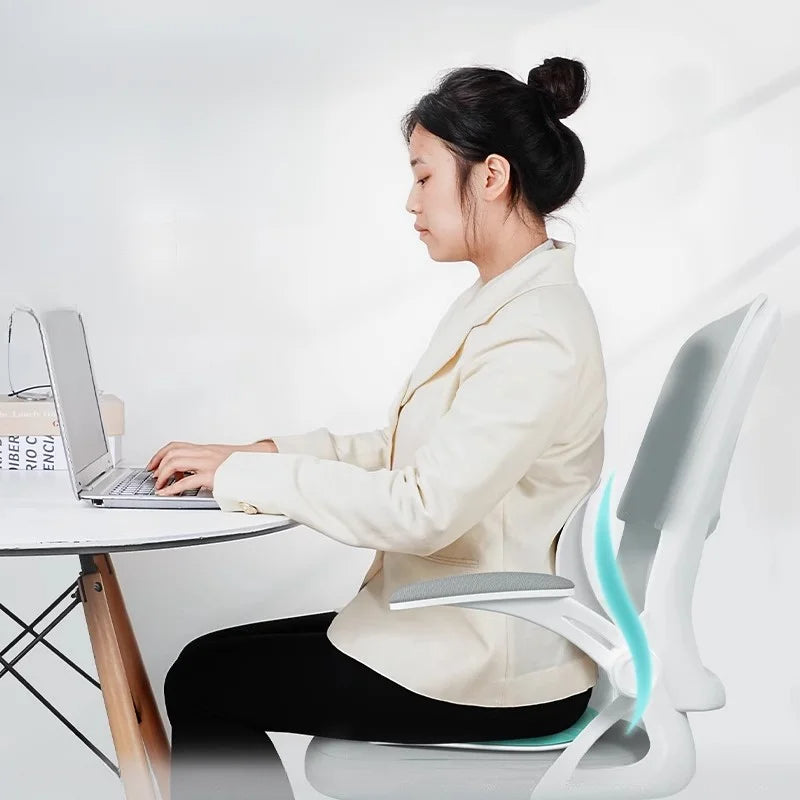 Chair Back Support Cushion 3