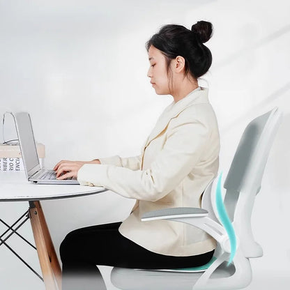 Chair Back Support Cushion 3