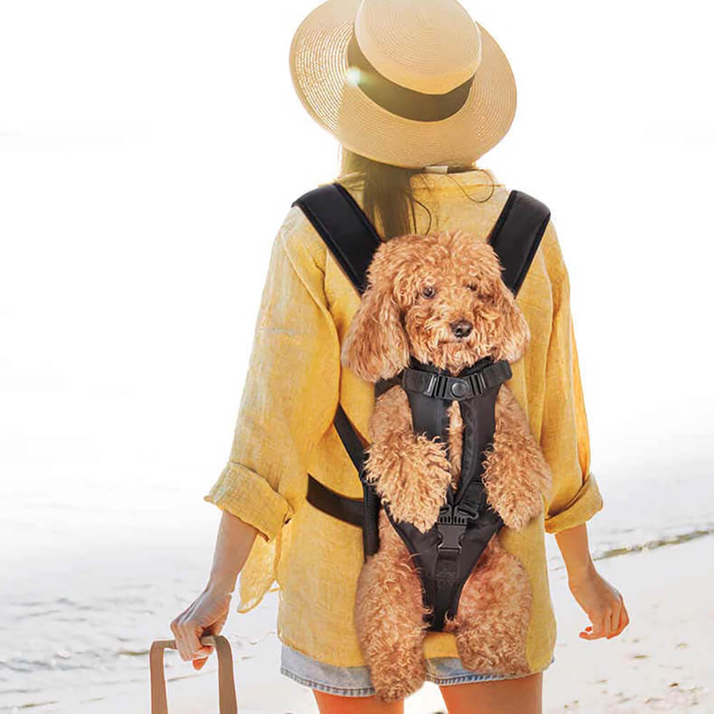 Cockpit Pet Carrier Backpack 2