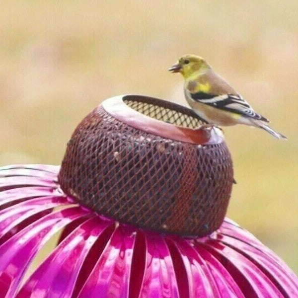 Coneflower Bird Feeder 5