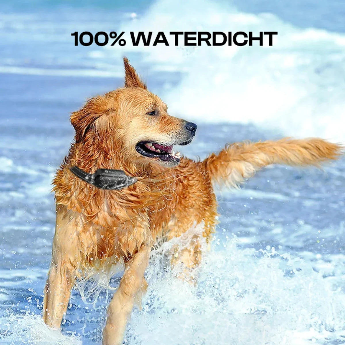 Electric dog training collar with remote control, waterproof, 16 adjustable shock levels, 1000 m range, beep and vibration modes 4