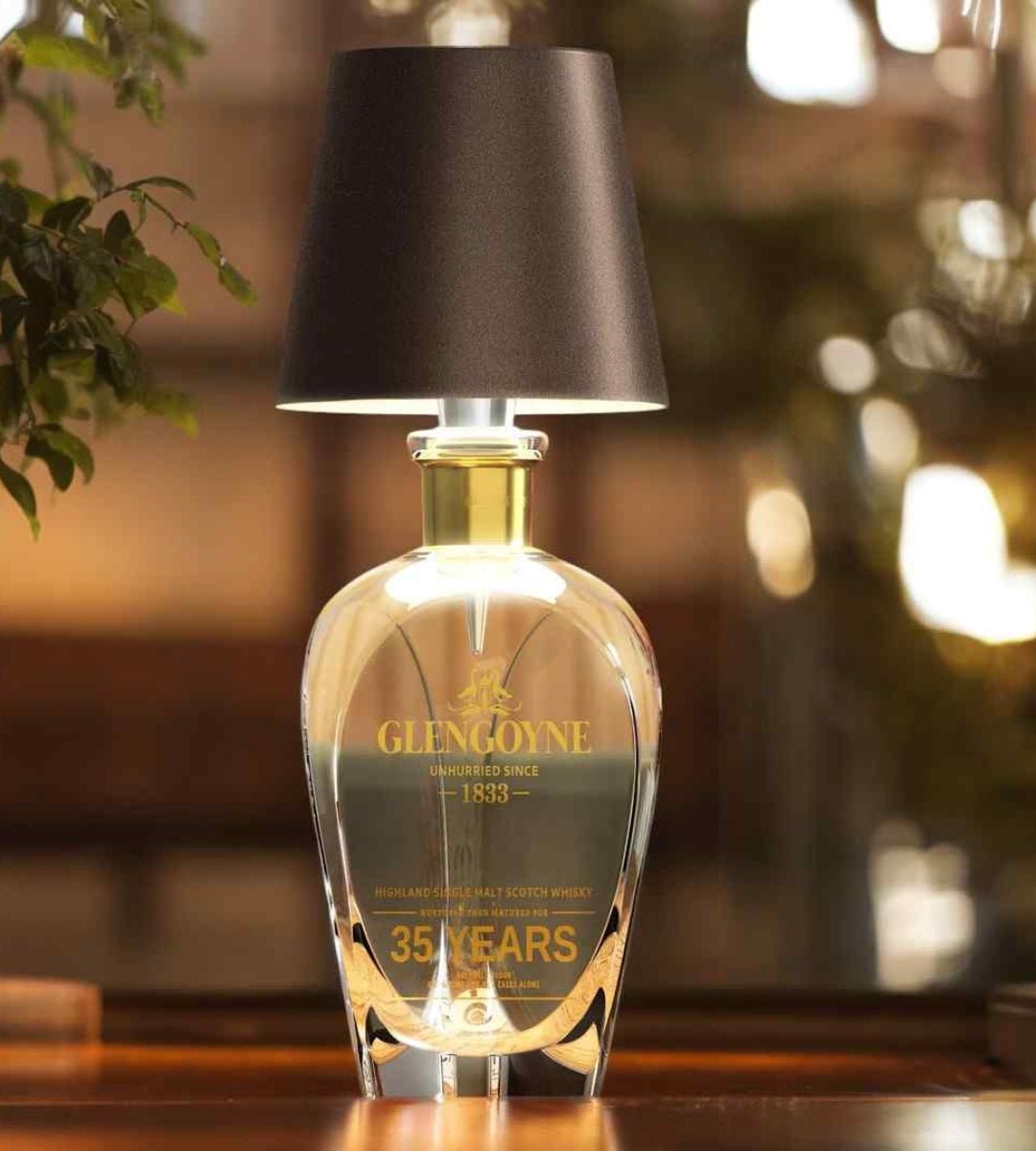 Luxurious LED bottle lamp 6