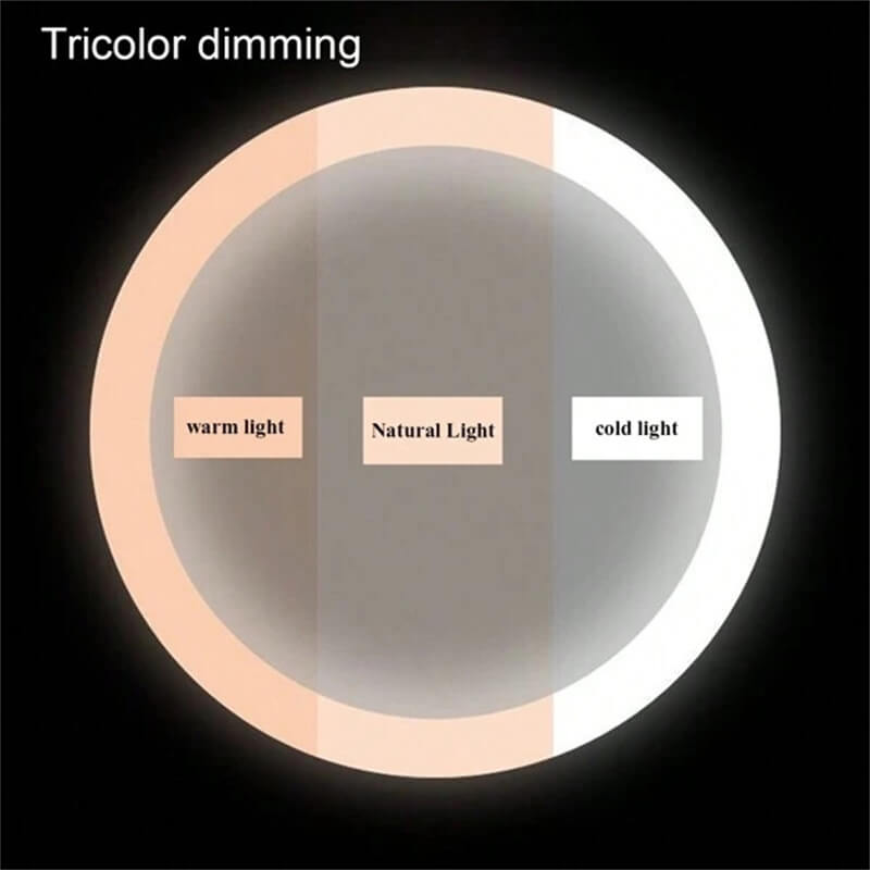 Makeup Mirror with Lights by Touch Control 6
