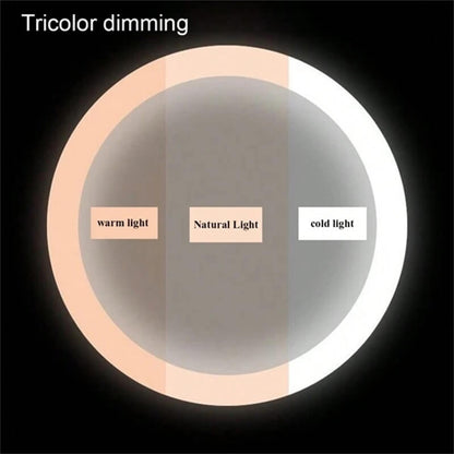 Makeup Mirror with Lights by Touch Control 6