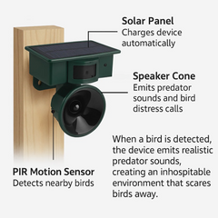 Motion Sensor Bird Deterrent for Crows: Ideal Pigeon Repeller with Sound Scarer 1