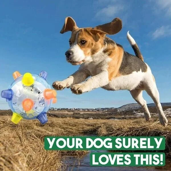 New Jumping Activation Ball For Dogs 2