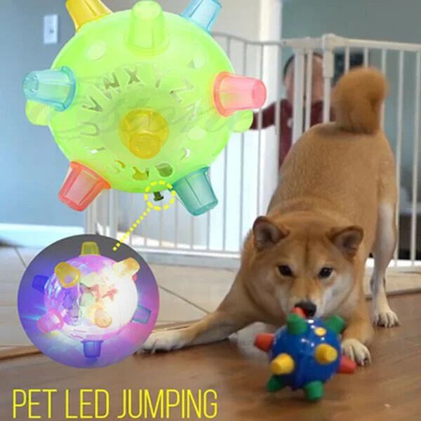 New Jumping Activation Ball For Dogs 4