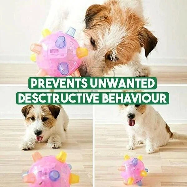 New Jumping Activation Ball For Dogs 5