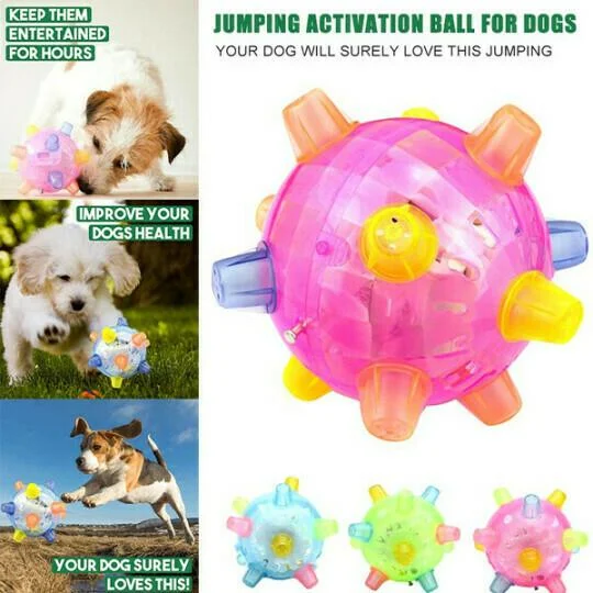 New Jumping Activation Ball For Dogs 6
