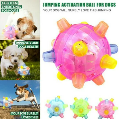 New Jumping Activation Ball For Dogs 6