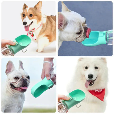 PawSip | Leak-Proof Portable Dog Water Bottle for Outdoor Travel and Walks 4