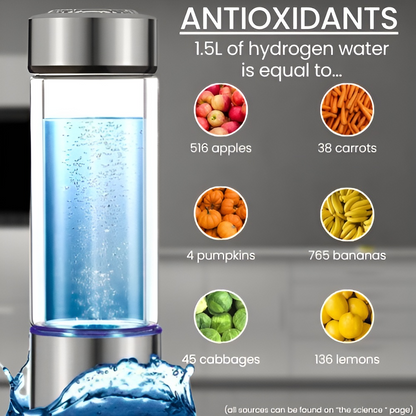 Premium Hydrogen Water Bottle 2