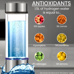 Premium Hydrogen Water Bottle 2