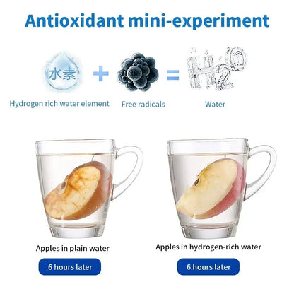 Premium Hydrogen Water Bottle 3