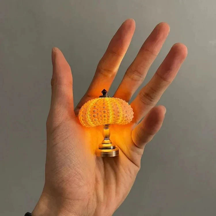 Sea urchin night lamp for your interior 2