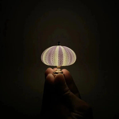 Sea urchin night lamp for your interior 5