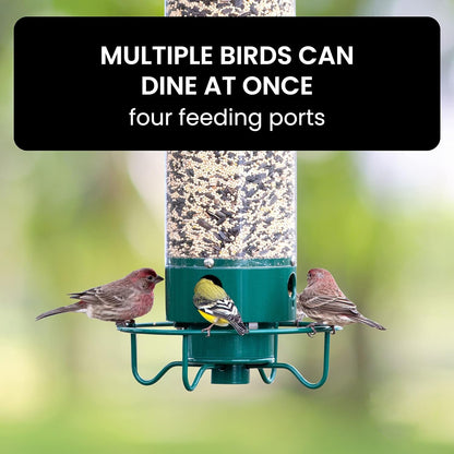 Squirrel-Proof Bird Feeder 4