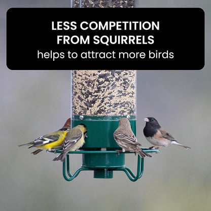 Squirrel-Proof Bird Feeder 6