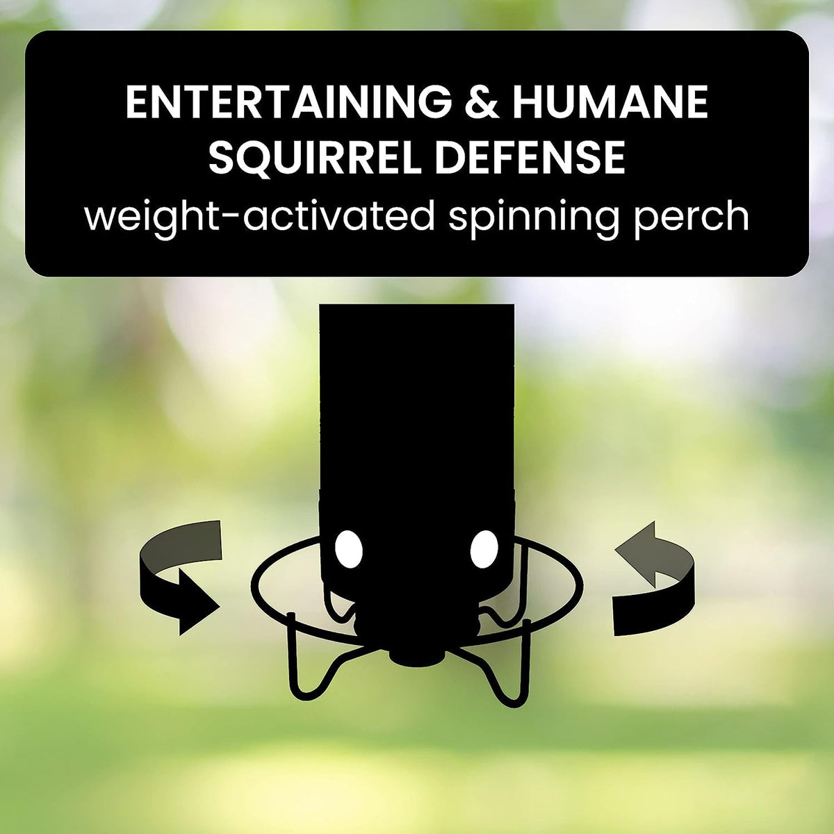 Squirrel-Proof Bird Feeder 7