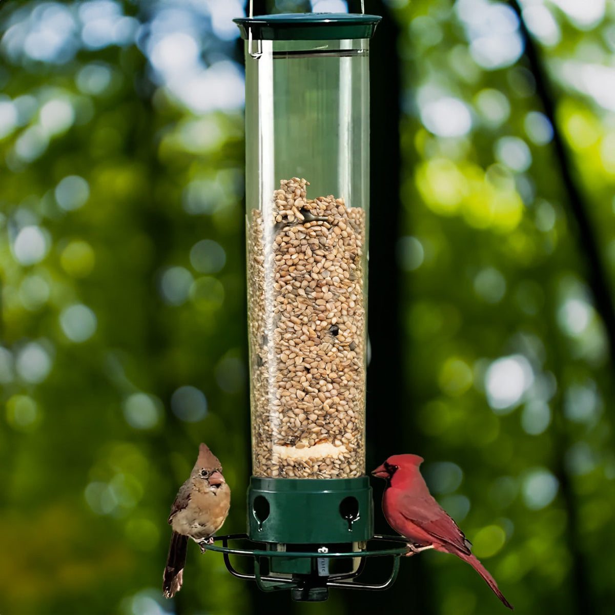 Squirrel Proof Bird Feeder 0