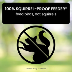 Squirrel Proof Bird Feeder 1