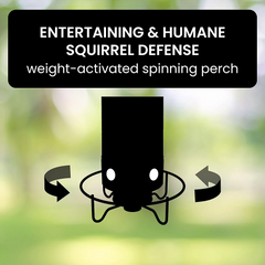 Squirrel Proof Bird Feeder 3