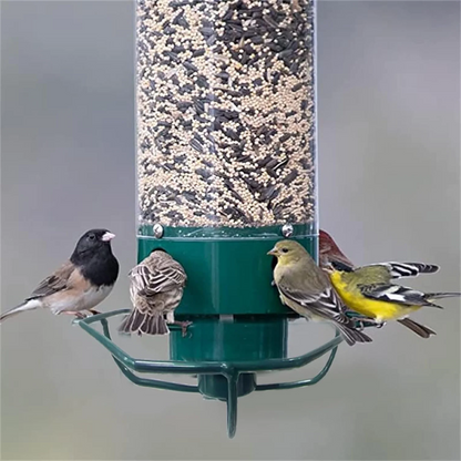 Squirrel Proof Bird Feeder 6
