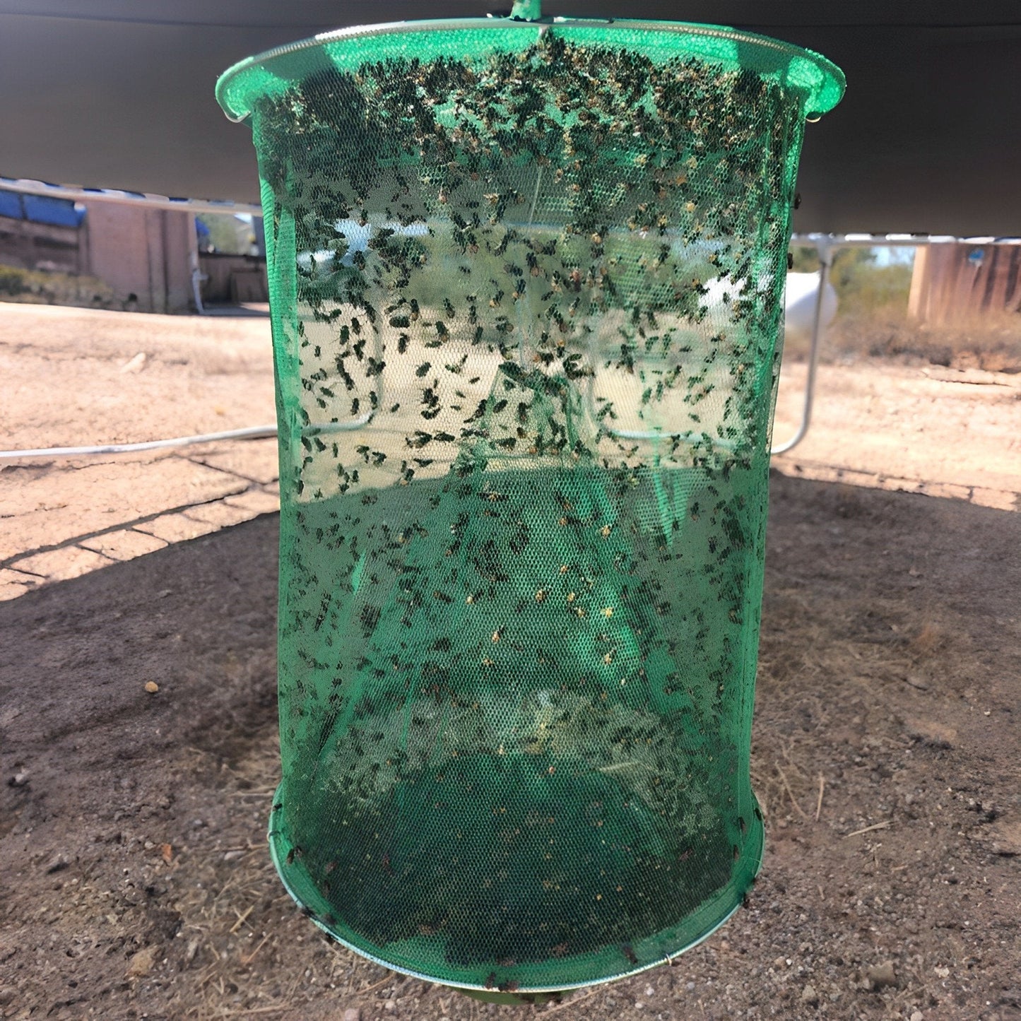 Stable Fly Trap 1