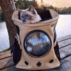 Travel Cat Backpack for Larger Cats 1