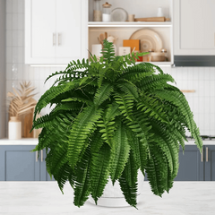UV-Resistant Lifelike Artificial Boston Fern – Perfect for Outdoor Décor 3