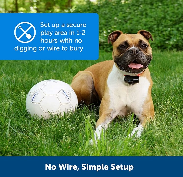 Wireless Dog Fence Collar System - Invisible and Waterproof 4