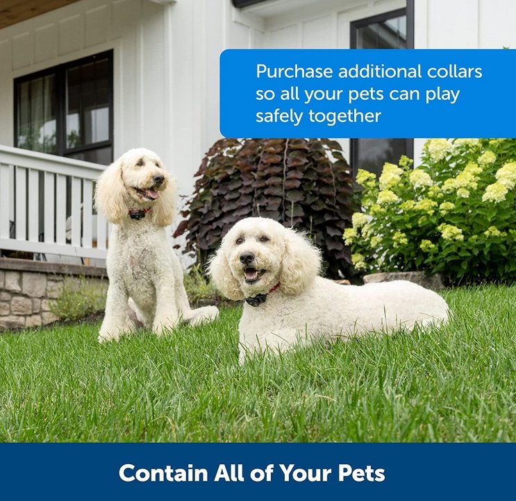 Wireless Dog Fence Collar System - Invisible and Waterproof 5